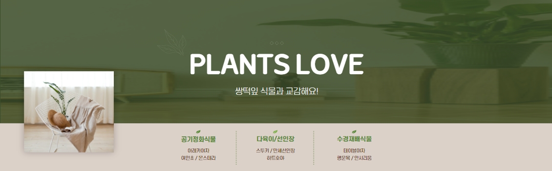 쌍떡잎식물과 교감해요